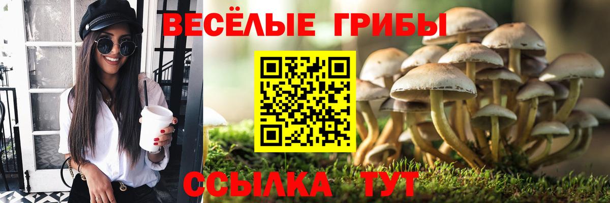 Верхняя Пышма  Галлюциногенные грибы MAGIC MUSHROOMS  Вход с VPN  как найти закладки  Галлюциногенные грибы мицелий 